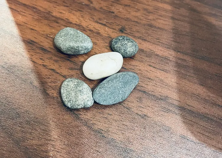 小夥伴們，分別是創傷、憤怒、委屈、悲傷、自卑