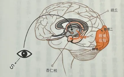 by《你的溝通必須更有心機》