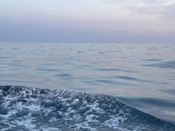 海上所見，天地一沙鷗，夢幻不知真假