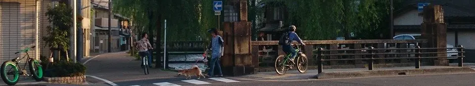 子菁選日常的沙龍