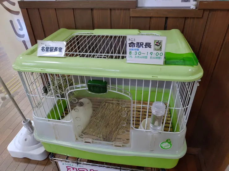 白兔站長