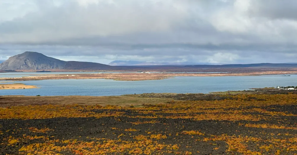 在財務迷霧裡對焦｜迷途知返，重新開始的紀錄