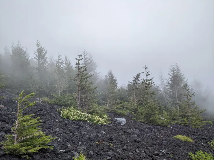 大部分是陰天，別有一番意境