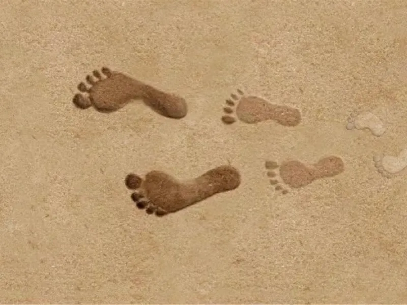 勇者足跡記錄👣