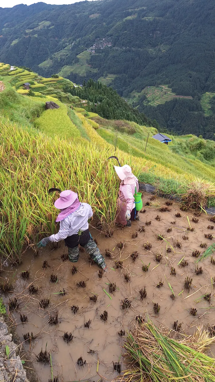 有撒種就有收成