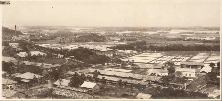 日治時代，蟾蜍山腳下的農業試驗所