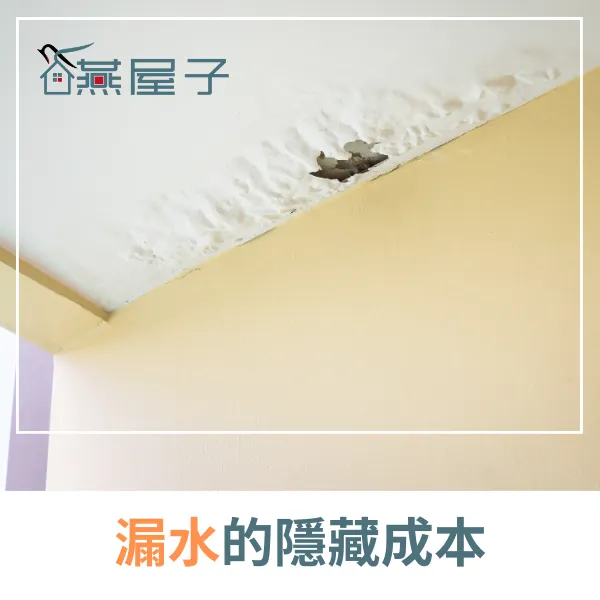 防水抓漏.抓漏.漏水.燕屋子