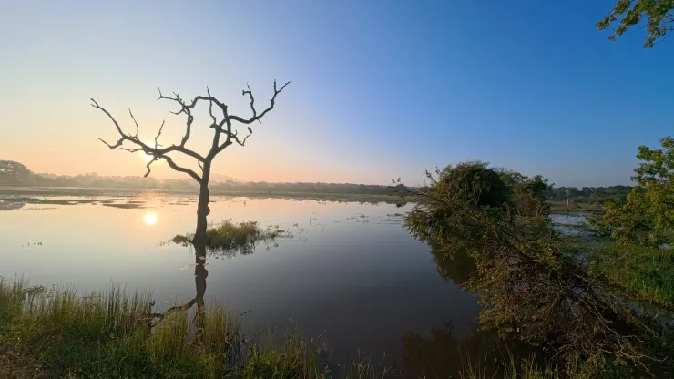 圖15 如此魔幻美景，怎不讓人迷醉呢？