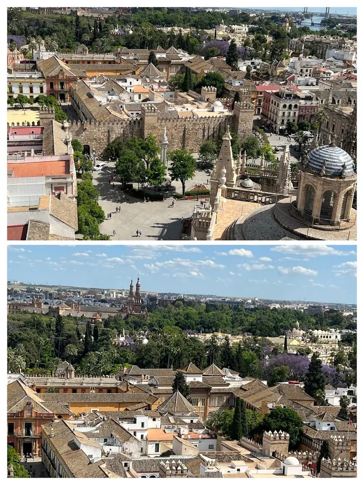 俯瞰塞維亞王宮，連遠處西班牙廣場的高塔都看得見。