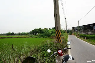 往北拍