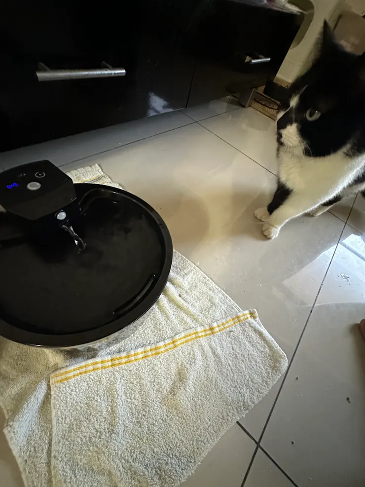 真的超方便 感應也非常好