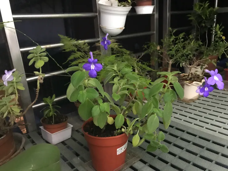 2024-3-22 夜間拍攝