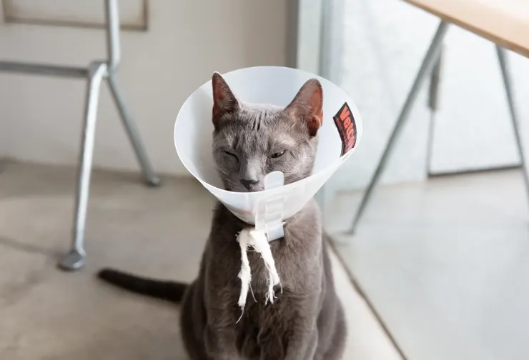 受到重本書店的本本熱烈歡迎