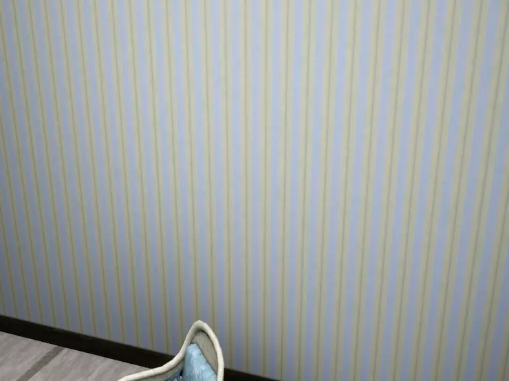 這邊的牆上也沒有飾物。