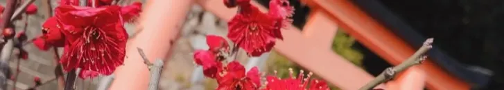 日光的日本生活日記的沙龍