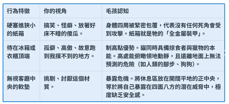 如何解讀毛孩選擇的棲息地行為?對貓而言，地表是充滿變動與壓力的危險區