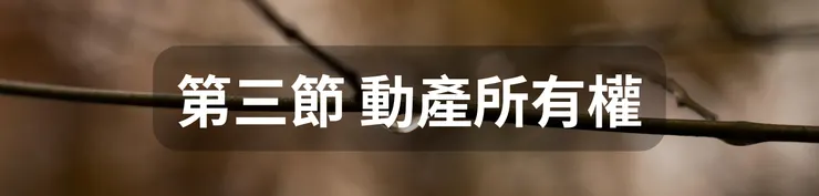 第三節 動產所有權