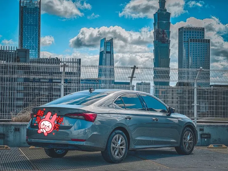 新歡Skoda Octavia