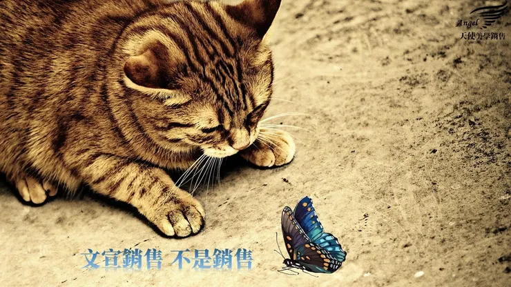 銷售不能照文宣賣