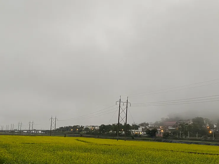 路邊油菜花田，還可以看到火車經過