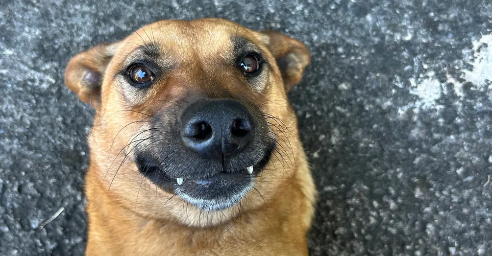 從無限到歸零的我