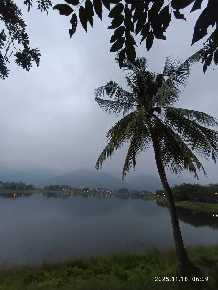 昨夜忽懷舊時情