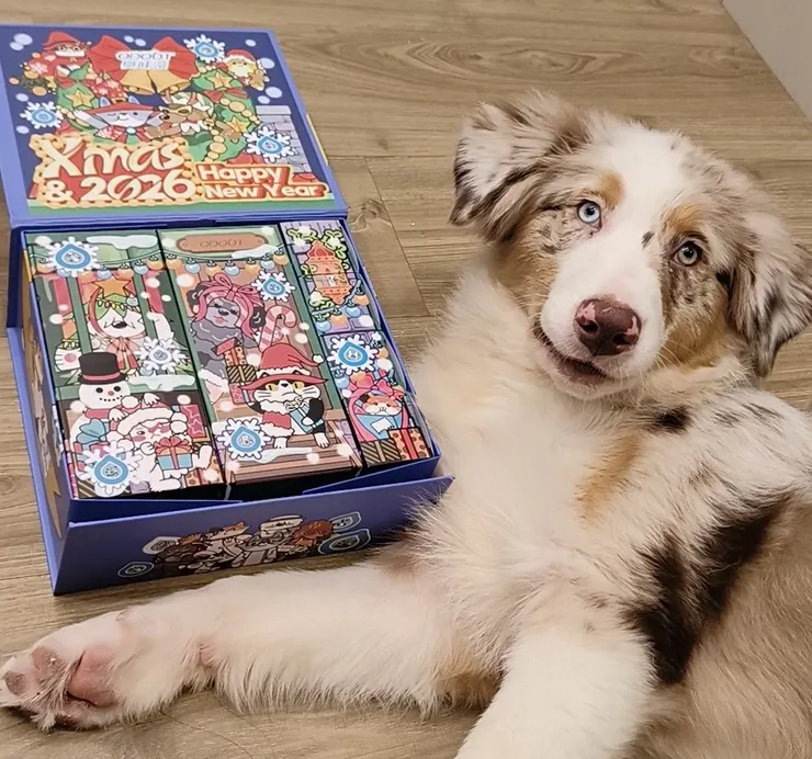 圖說:禮盒內含的500ml寵物專用洗碗精,不使用柑橘、茶樹精油等傷害毛孩嗅覺的成分,能有效去除餐具上的口水黏液與油脂,守護毛孩飲食衛生,也大幅降低對環境的影響。(資料來源:臭味滾)