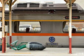 DR2800與大甲的芋頭合影