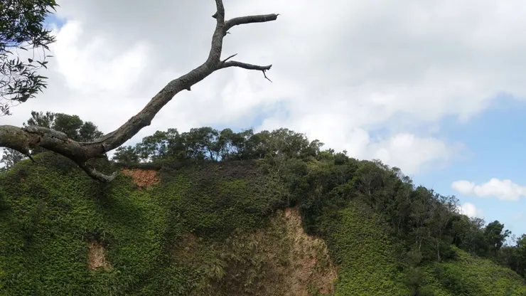 三角點就在咫尺