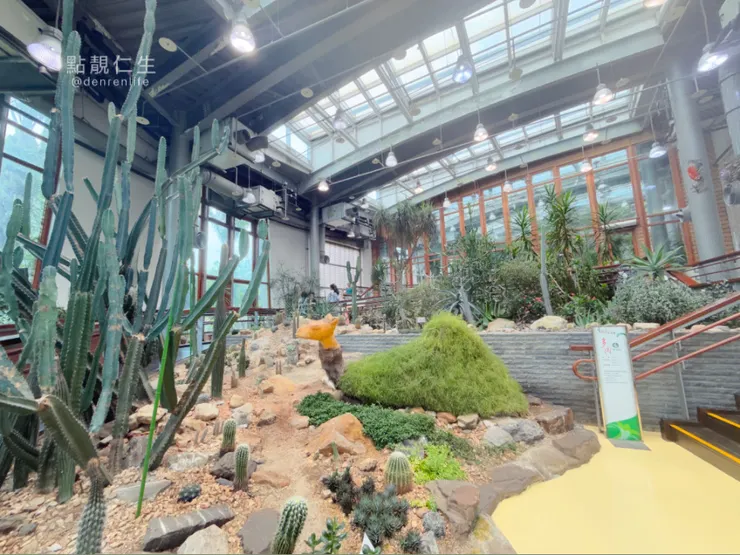 仙人掌區駱駝峰｜台北典藏植物園