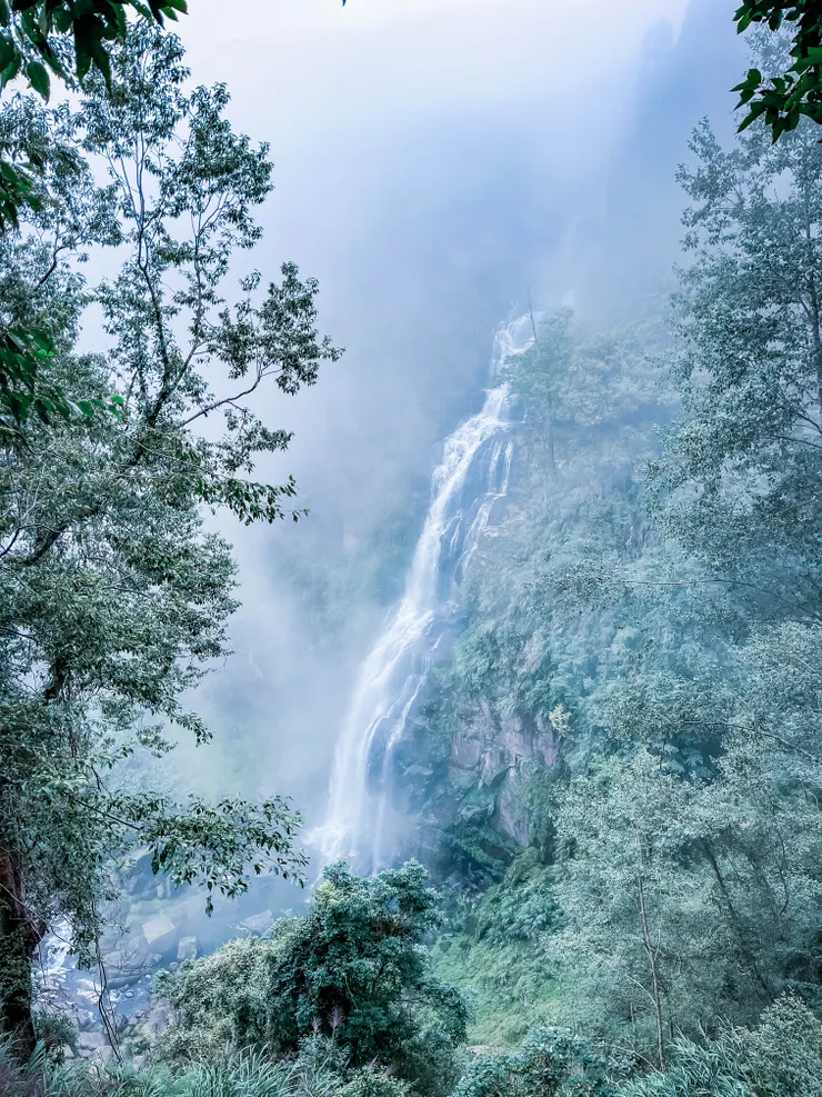 人性中有一種特質,就像水一樣