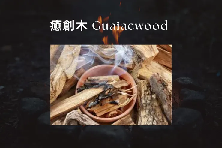 癒創木 Guaiacwood —— 溫暖木質、微煙燻