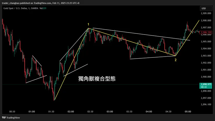 獨角獸複合型態