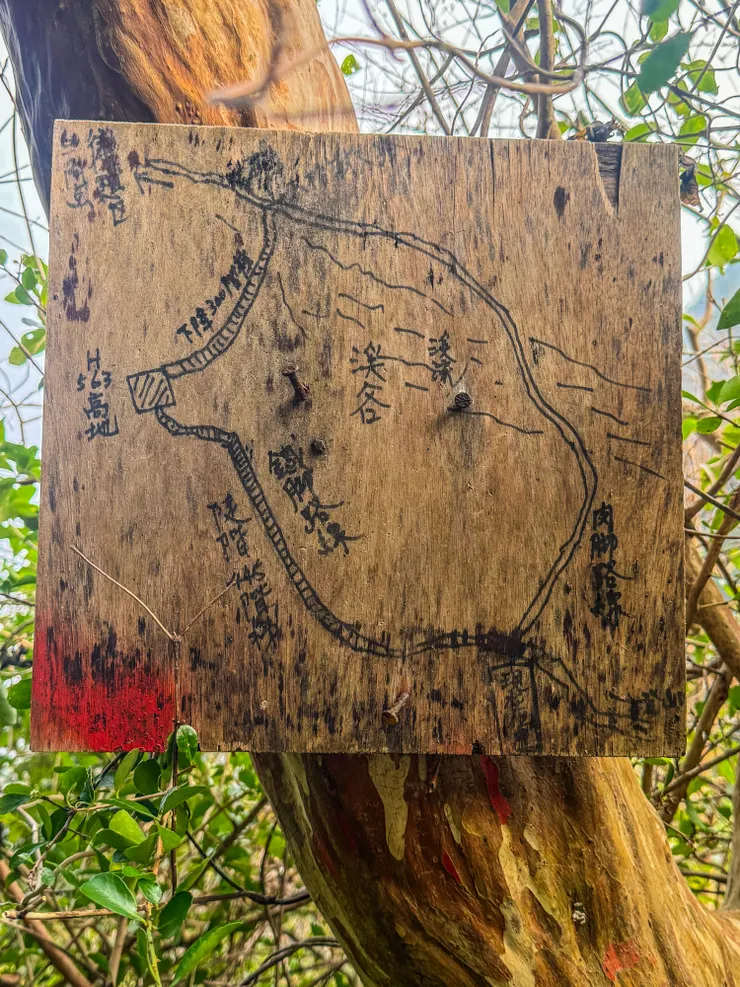 樹上綁著山友畫的路線圖