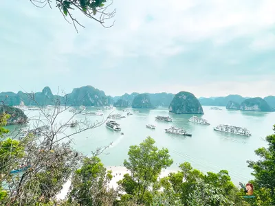 菜鳥領隊日記  之 文不對照之發文....