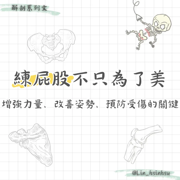 練屁股不只為了美