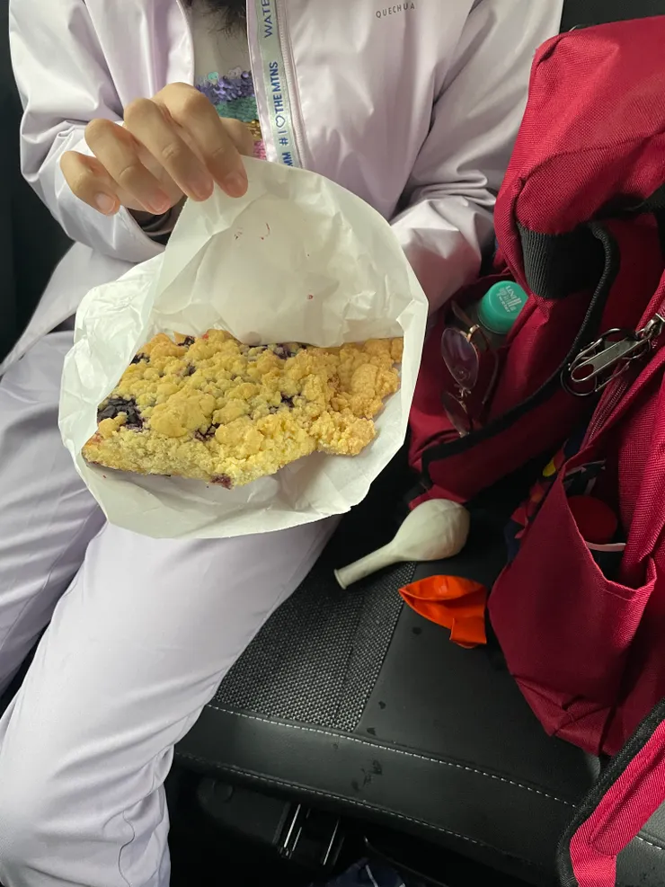 Blueberry Vallina Cookie