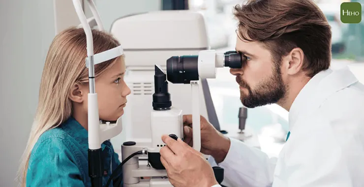 示意圖（圖截自：HEHO）