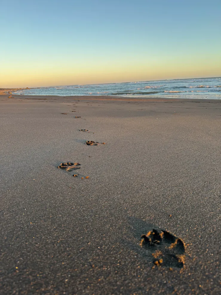 去海邊吹吹海風