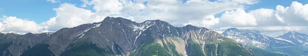 山系女子_Iris的沙龍