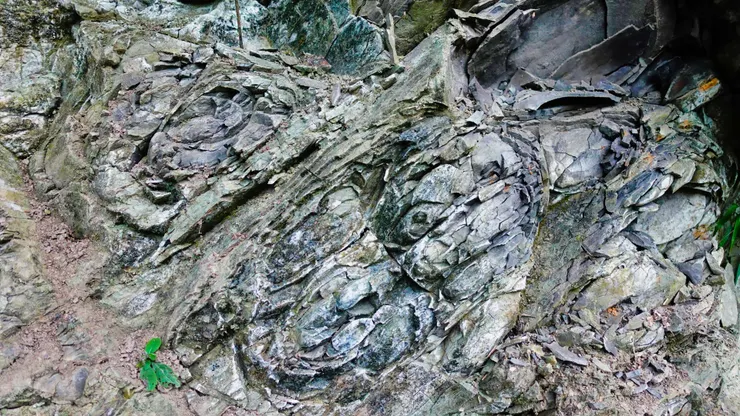 受鱗剝作用風化的火成岩