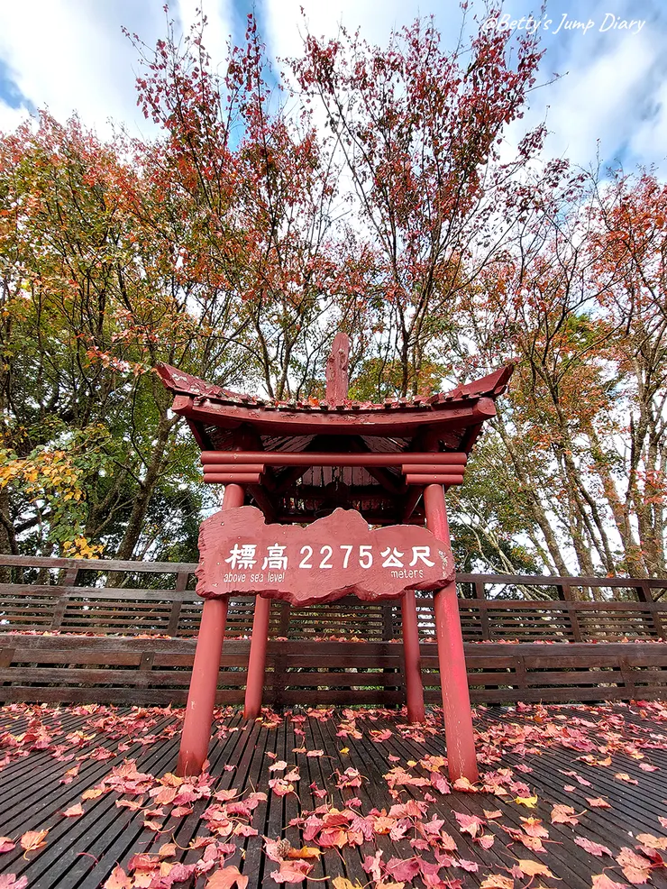 ▲台中「大雪山國家森林遊樂區」/圖片來源：Betty's Jump Diary
