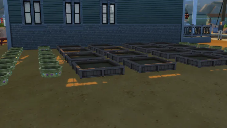 園藝做得不好會長蟲，很噁心。