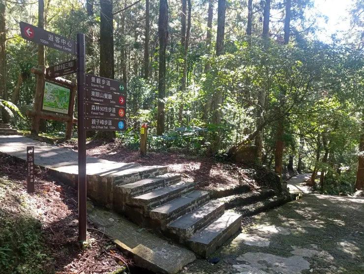 自導步道、親子峰步道分叉口
