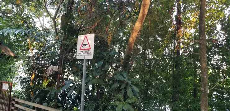 鰐魚出沒注意