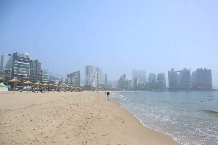 沙灘旁擺著一排的遮陽傘和椅子，很有渡假的感覺