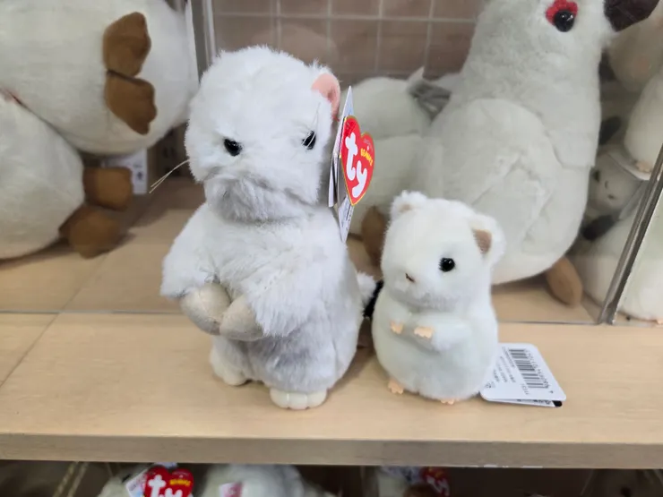 伴手禮店可愛的雪貂娃娃