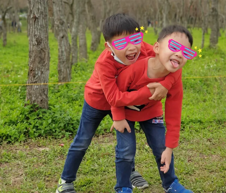 腸病毒71、腸病毒71型、腸病毒71型疫苗、腸病毒71疫苗、腸病毒疫苗