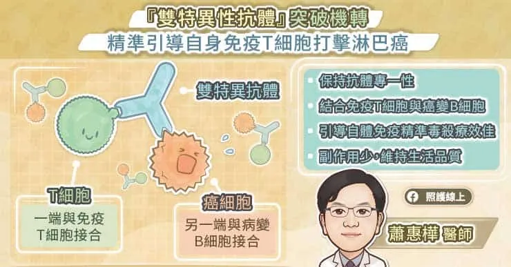 雙特異性抗體突破機轉，精準引導自身免疫T細胞打擊淋巴癌