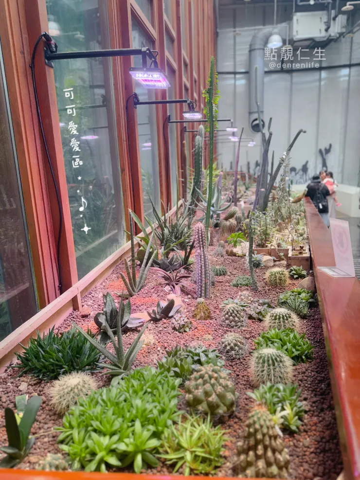 殺手機容量的多肉區｜台北典藏植物園
